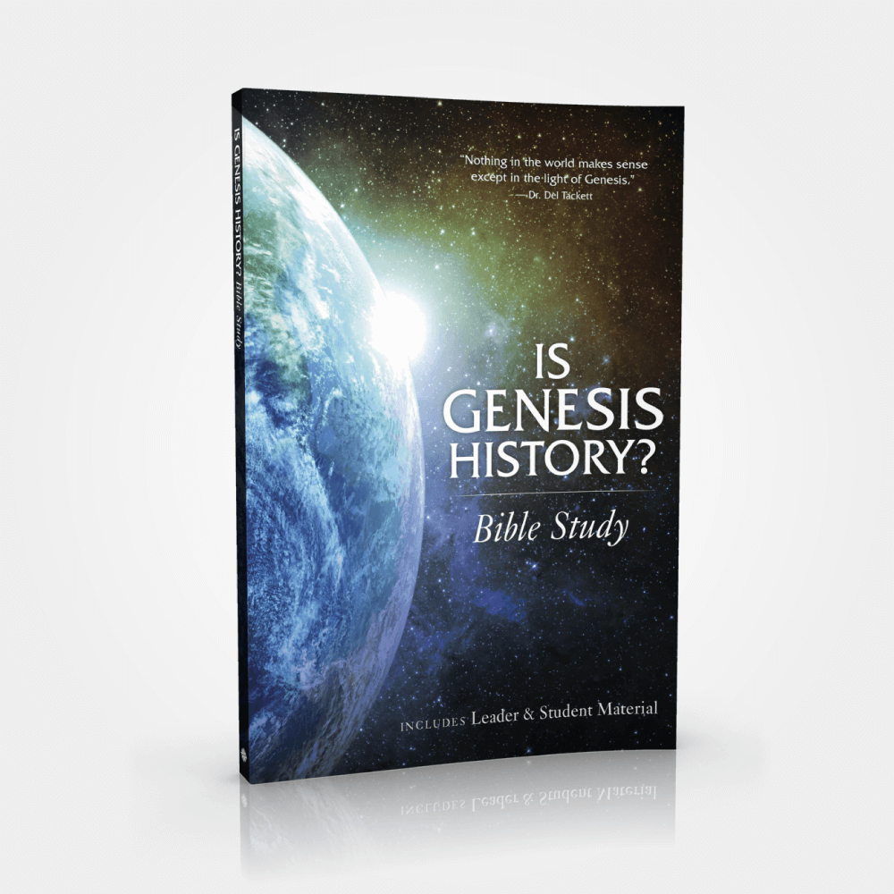 book of genesis bible