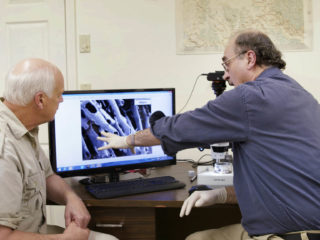 Kevin and Del looking at tissue