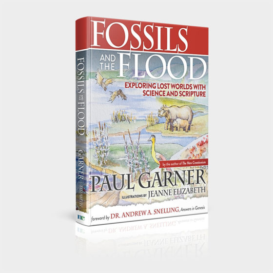 Fossils and the Flood