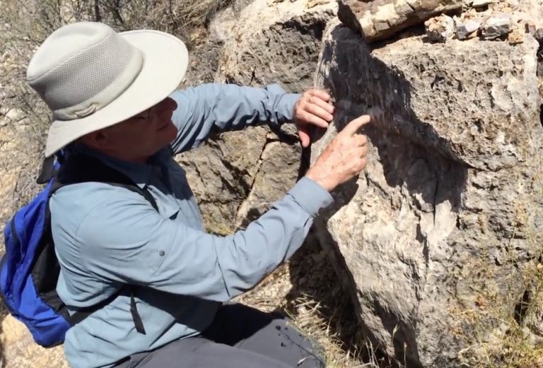 Steve Austin's Nautiloid Fossils Is Genesis History?