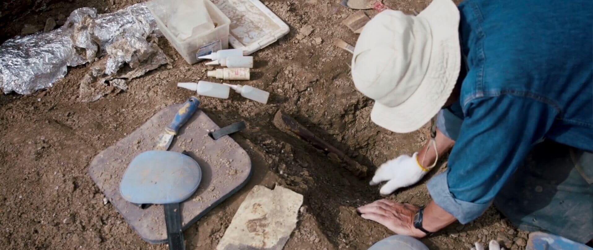 Fossil Graveyards Everywhere Is Genesis History?