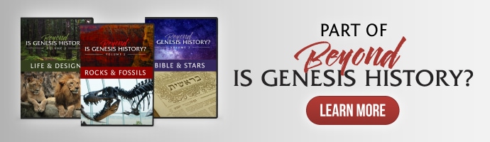 Part of Beyond Is Genesis History Vol. 1 - Rocks & Fossils